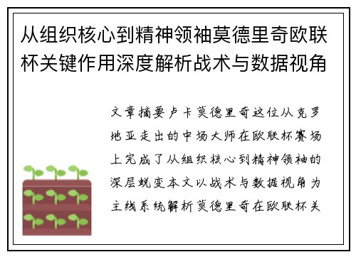 从组织核心到精神领袖莫德里奇欧联杯关键作用深度解析战术与数据视角